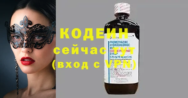 шишки Осинники