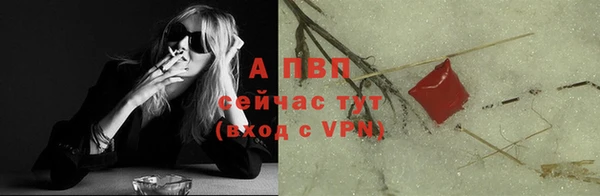 шишки Осинники
