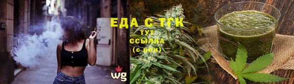 шишки Осинники